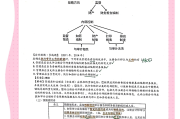 审计基础学习通（审计学基础慕课答案零）