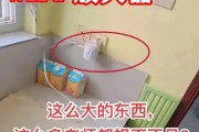 学习通没开摄像头的简单介绍