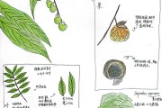 植物知道生命学习通答案（植物知道生命的答案尔雅答案）