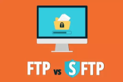 ftp（ftp指什么）
