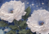 分享屏幕（分享屏幕模糊不清原因）