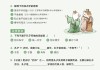 学习通答案大学语文孔子（孔子语录大学语文）