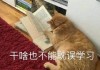 学习通微表情4.4（学微表情有什么作用）