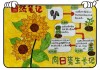 学习通植物的一生答案（植物的一生科学课件）