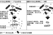 病原微生物学习通答案（病原微生物基础）