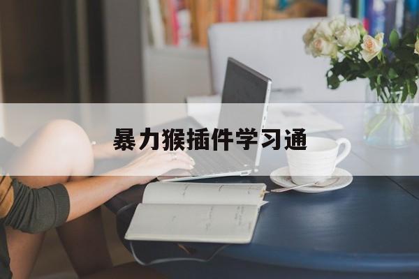 暴力猴插件学习通（暴力猴安装的脚本怎么用）